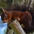 04-PascalePeutin-Rencontre.JPG