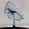 08_Collision-gouttes_2023.jpg