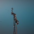 24_Collision-gouttes_2023.jpg