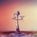 51_Collision-gouttes_2023.jpg