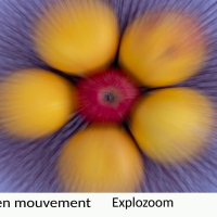 NM 10.JPG