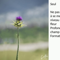 P 19.jpg