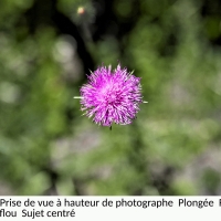 P 20.JPG