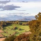 5Pierrette Berdou.jpg